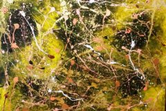 VIDA-160X120